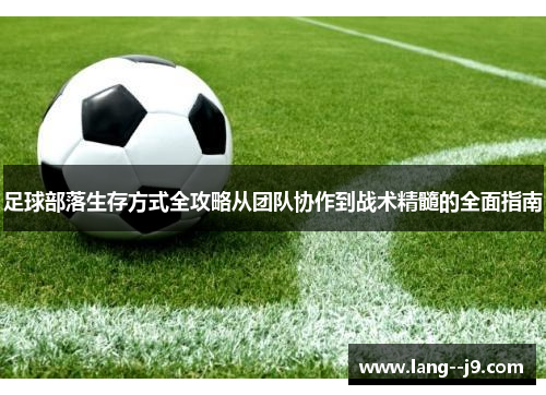 足球部落生存方式全攻略从团队协作到战术精髓的全面指南